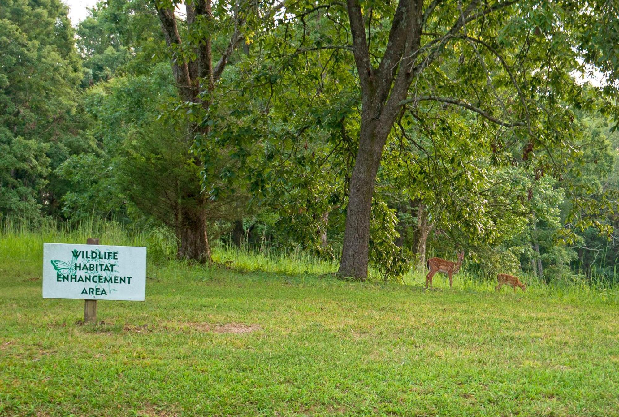 Barren River Lake State Resort Park Lucas Zewnętrze zdjęcie